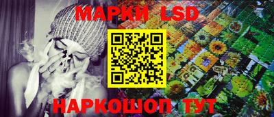 Альфа ПВП Кандалакша