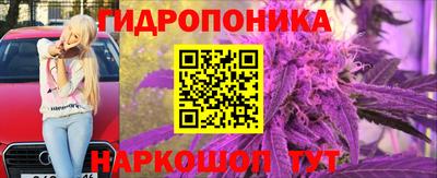 амф Канаш
