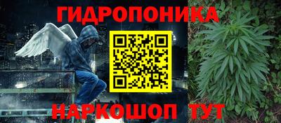 Альфа ПВП Кандалакша