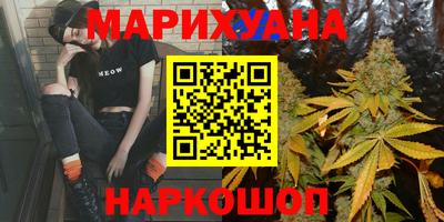 Альфа ПВП Кандалакша
