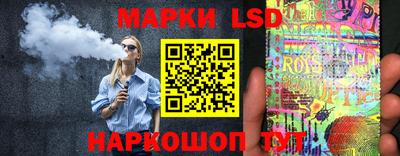 Альфа ПВП Кандалакша