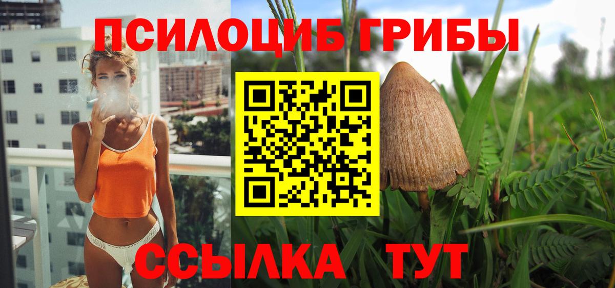 ГАШ  ЭКСТАЗИ  Каннабис  КОКАИН  Котельники  Вейп ТГК  НБОМе  Метамфетамин  Вход с VPN  Канабис  МЕФ кристаллы  Купить закладку  МЕТАДОН 
