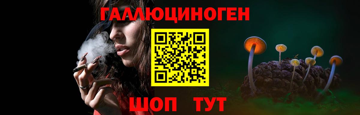 Псилоцибиновые грибы Psilocybe  дарнет шоп  Котельники  Вход с VPN 